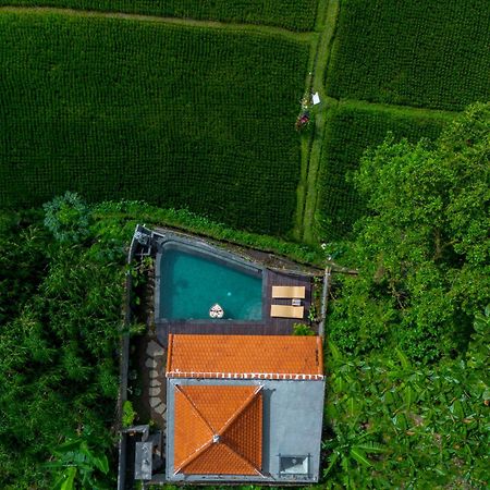 Jatining Ubud Villa & Spa Exterior foto